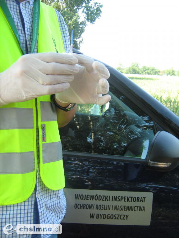 GMO w województwie kujawsko-pomorskim
