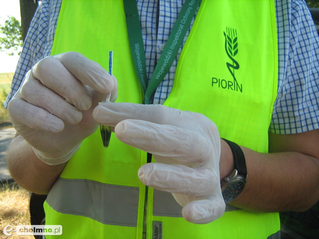 GMO w województwie kujawsko-pomorskim