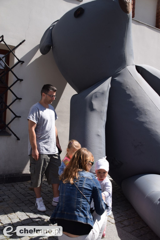  Dzisiaj po mieście wędruje Misio Przytulanka