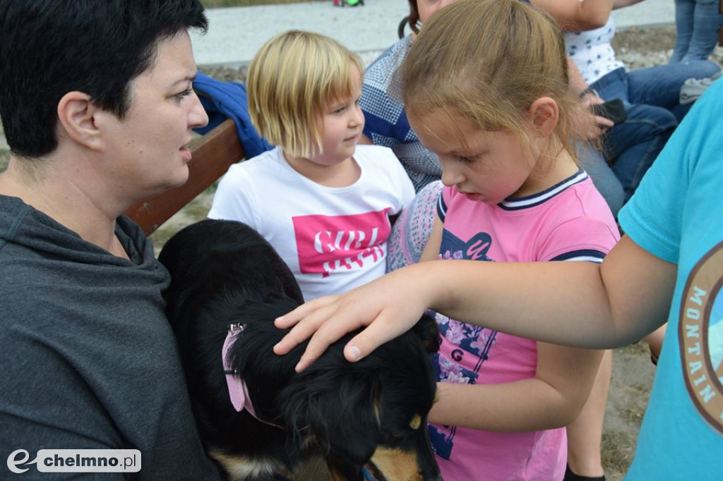 Integracyjne spotkanie przy grillu w Katoliku