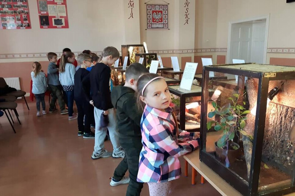 Ciekawe wrażenia na wystawie zwierząt egzotycznych