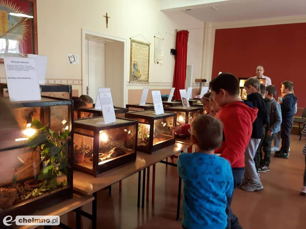 Ciekawe wrażenia na wystawie zwierząt egzotycznych