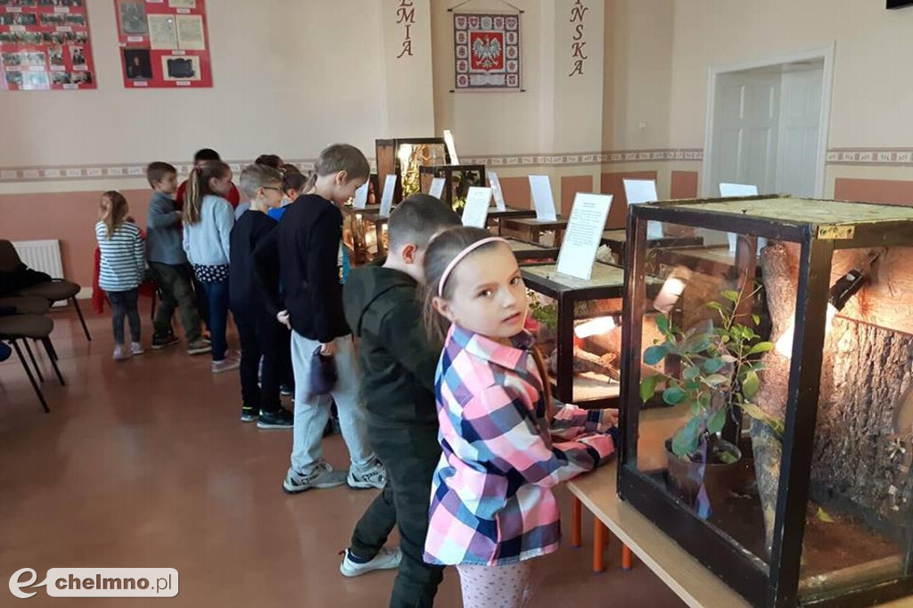 Ciekawe wrażenia na wystawie zwierząt egzotycznych