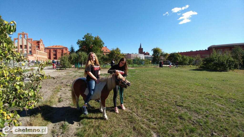 Wincentyński Piknik Rodzinny w Klasztorze Sióstr Miłosierdzia