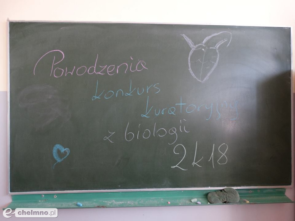 Lekcja wos w Starostwie Powiatowym