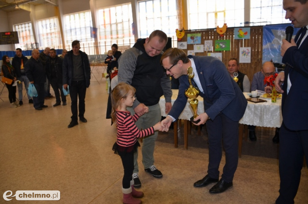 Podziwialiśmy latające piękności - wystawa gołębi