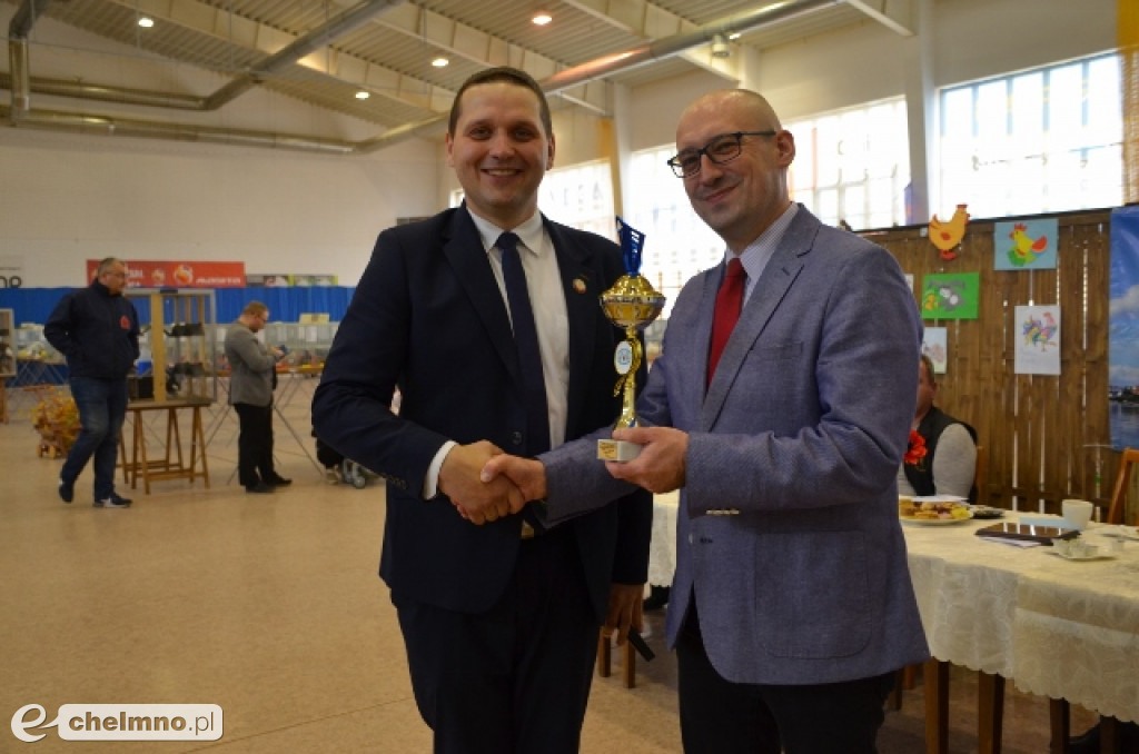 Podziwialiśmy latające piękności - wystawa gołębi