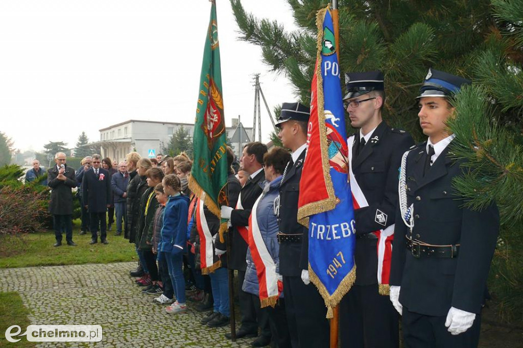 W Gminie Kijewo Królewskie posadzili dąb niepodległości