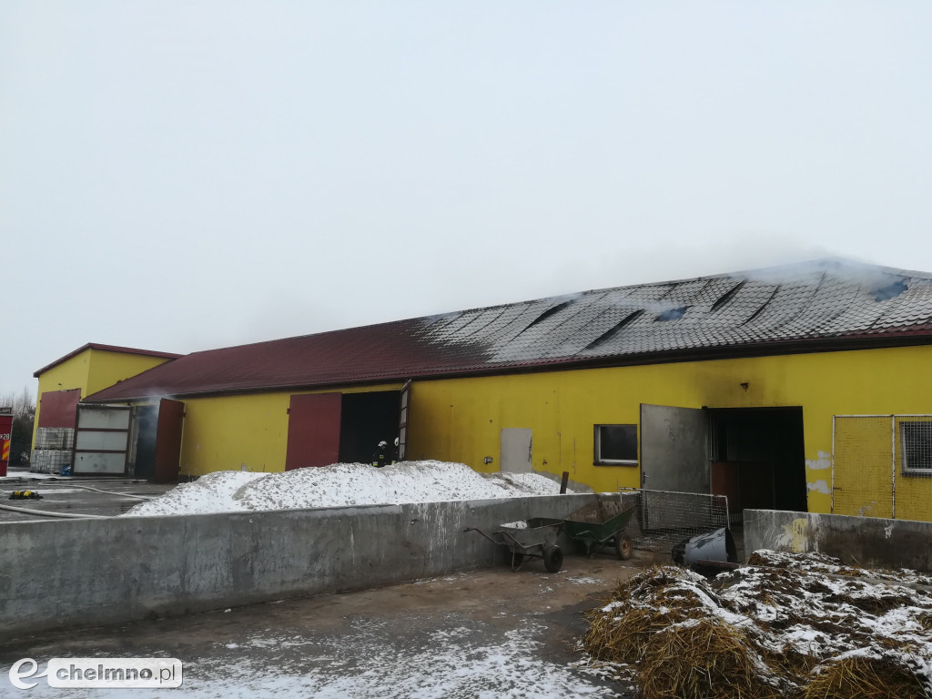 21 zastępów straży pożarnej walczyło z żywiołem.