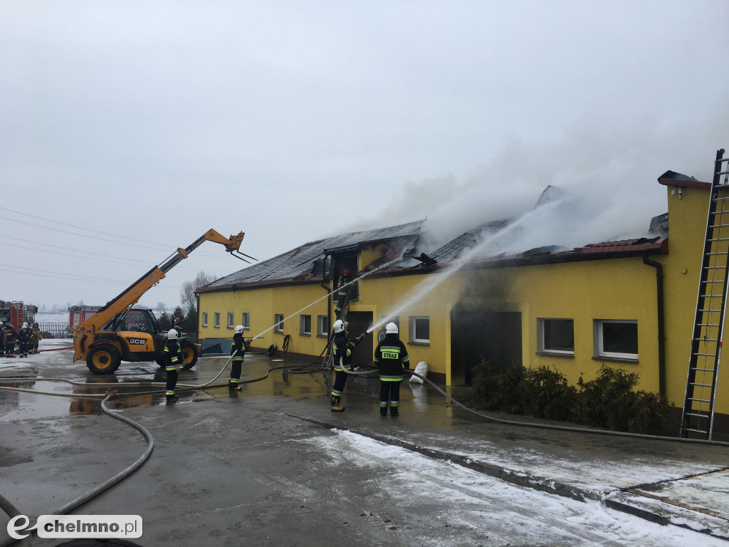 21 zastępów straży pożarnej walczyło z żywiołem.
