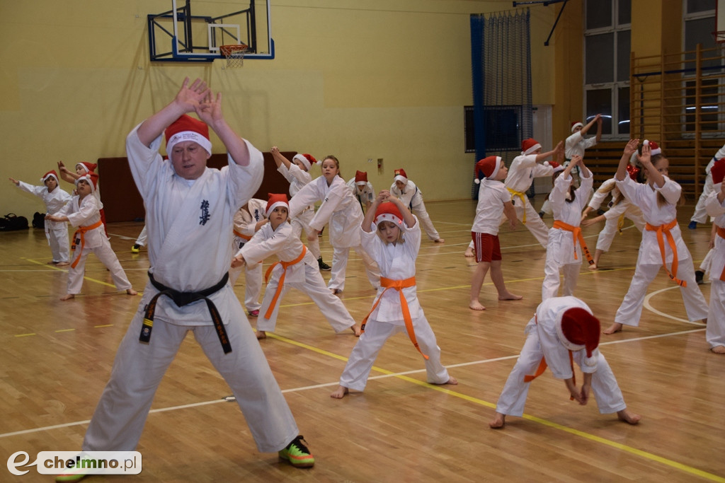 Zakończenie sezonu i spotkanie z Mikołajem Klubu Kyokushin Karate.