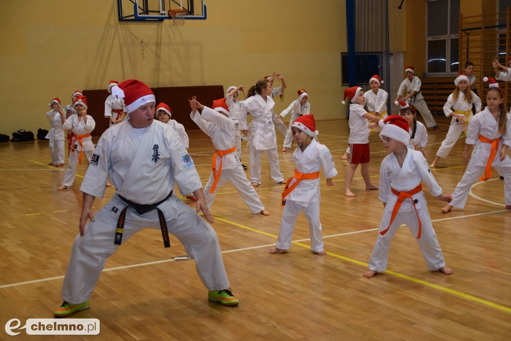 Zakończenie sezonu i spotkanie z Mikołajem Klubu Kyokushin Karate.