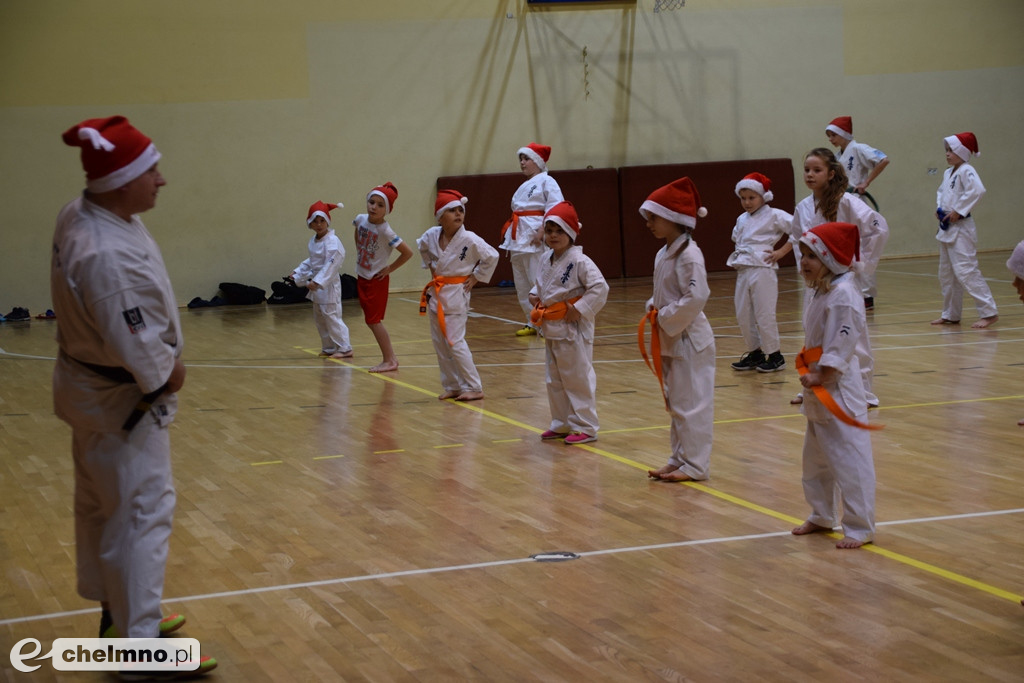 Zakończenie sezonu i spotkanie z Mikołajem Klubu Kyokushin Karate.