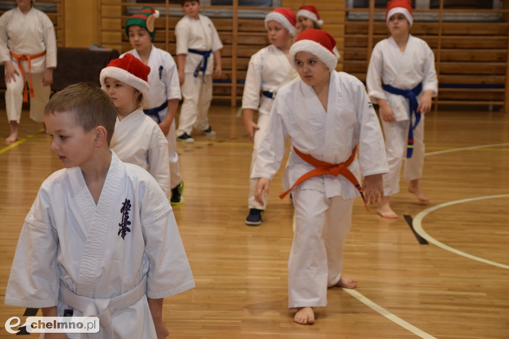 Zakończenie sezonu i spotkanie z Mikołajem Klubu Kyokushin Karate.