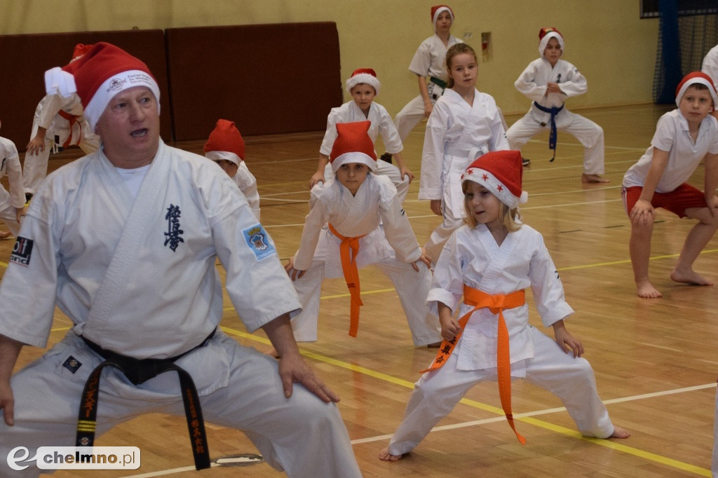 Zakończenie sezonu i spotkanie z Mikołajem Klubu Kyokushin Karate.