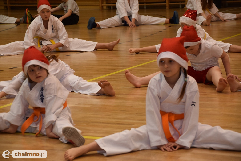 Zakończenie sezonu i spotkanie z Mikołajem Klubu Kyokushin Karate.
