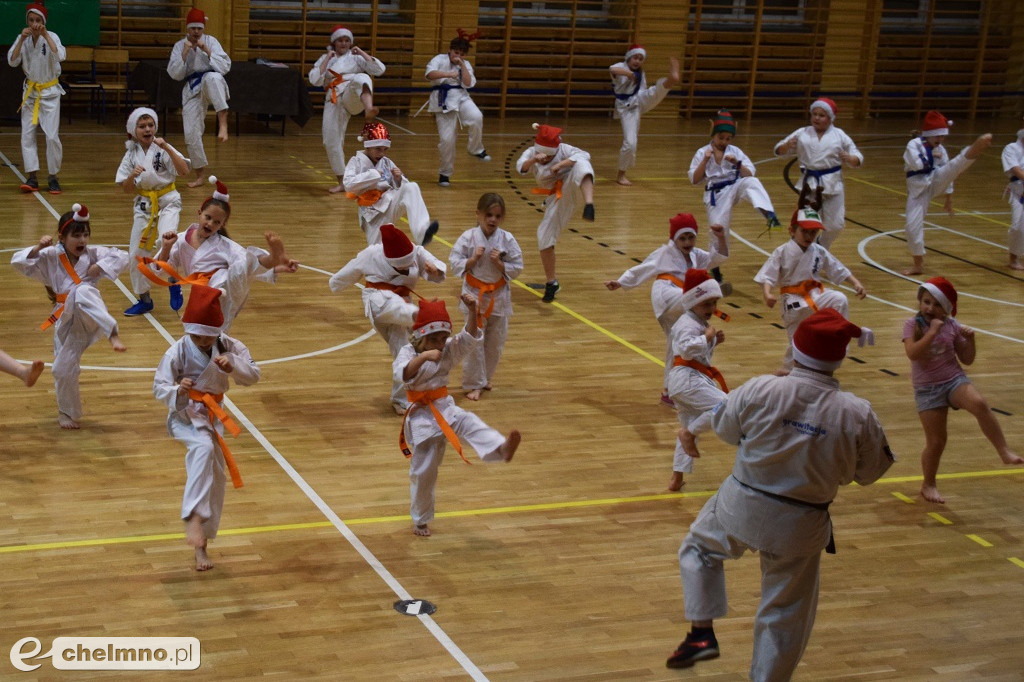 Zakończenie sezonu i spotkanie z Mikołajem Klubu Kyokushin Karate.