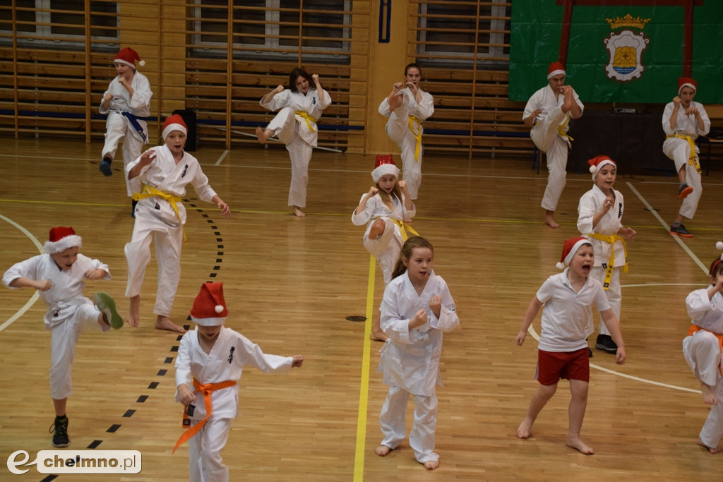 Zakończenie sezonu i spotkanie z Mikołajem Klubu Kyokushin Karate.