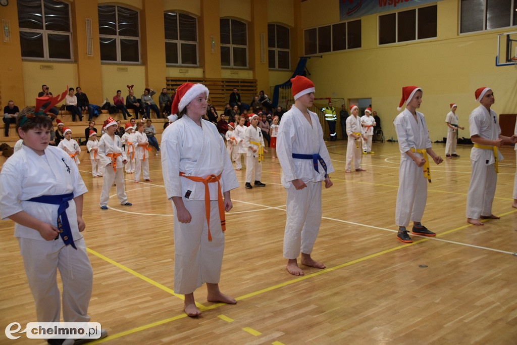 Zakończenie sezonu i spotkanie z Mikołajem Klubu Kyokushin Karate.