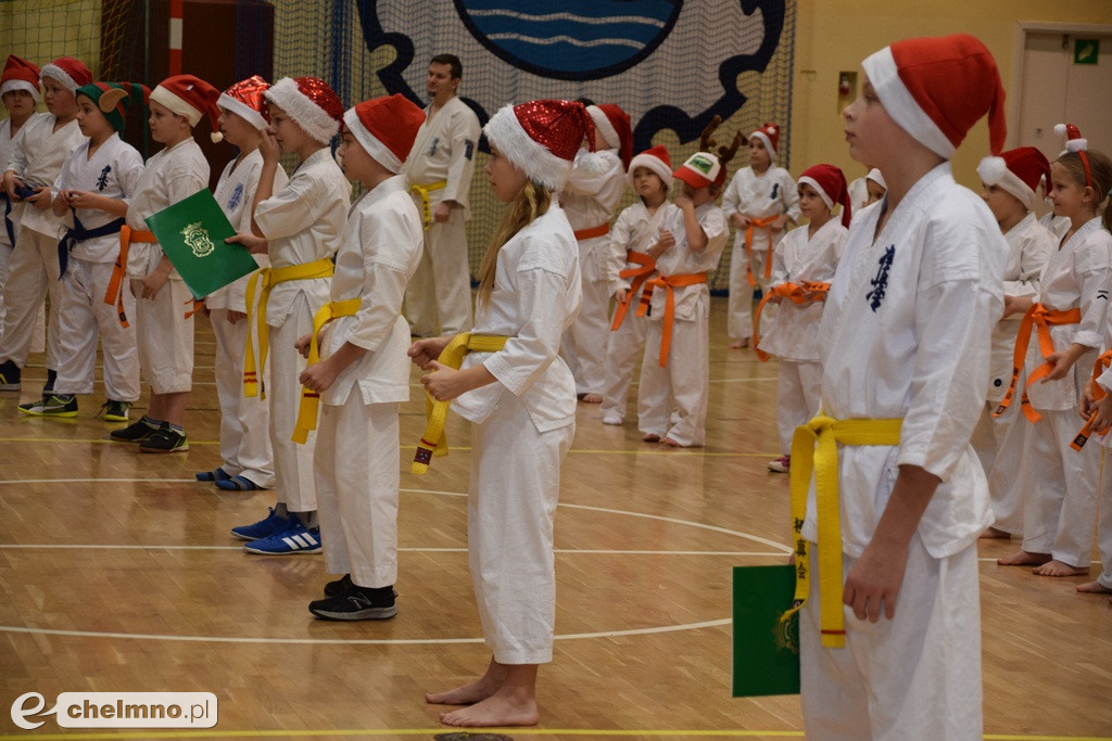 Zakończenie sezonu i spotkanie z Mikołajem Klubu Kyokushin Karate.