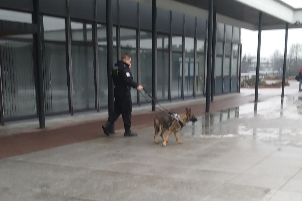 Policja z psami tropiącymi: alarm bombowy na UMK.