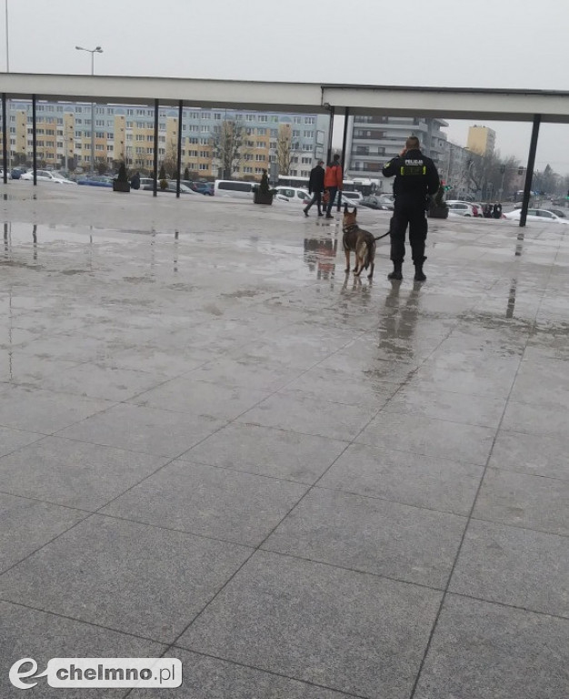 Policja z psami tropiącymi: alarm bombowy na UMK.