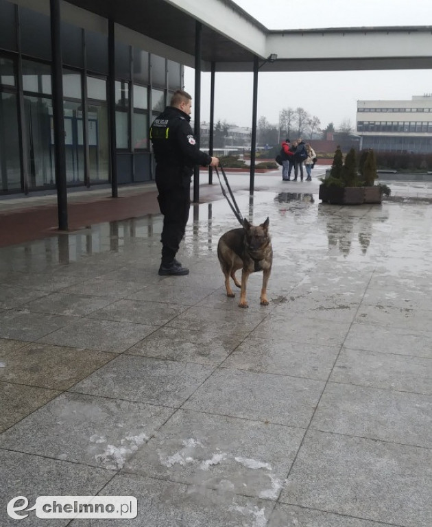 Policja z psami tropiącymi: alarm bombowy na UMK.