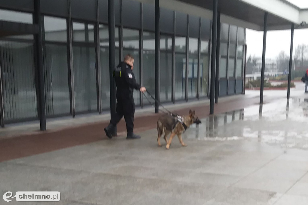 Policja z psami tropiącymi: alarm bombowy na UMK.