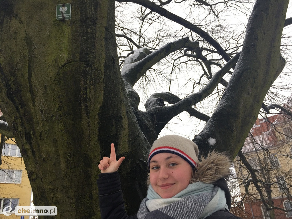 SP Nr 1 z certyfikatami fotografów - przyrodników!
