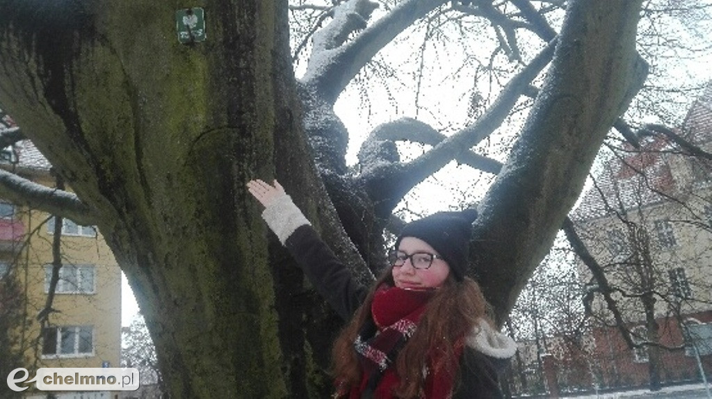 SP Nr 1 z certyfikatami fotografów - przyrodników!