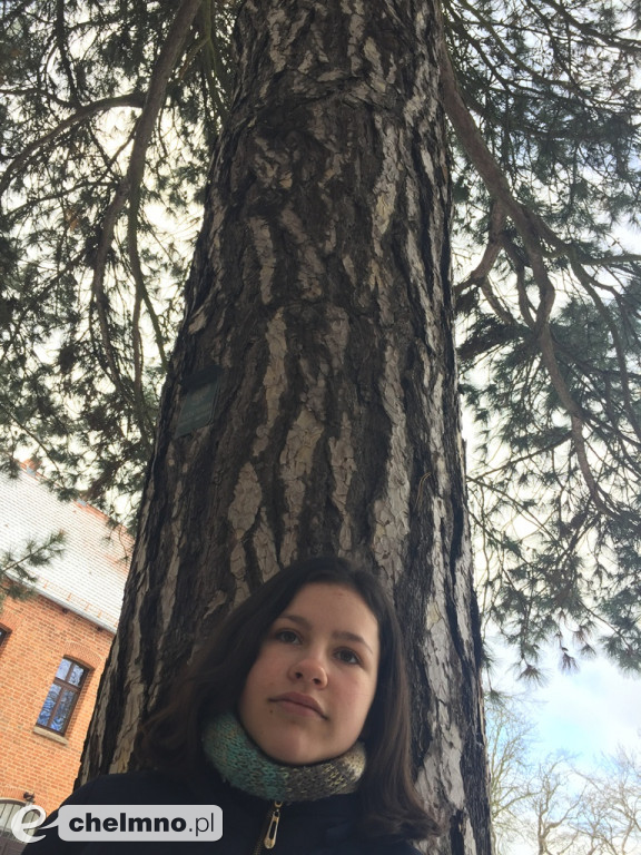 SP Nr 1 z certyfikatami fotografów - przyrodników!