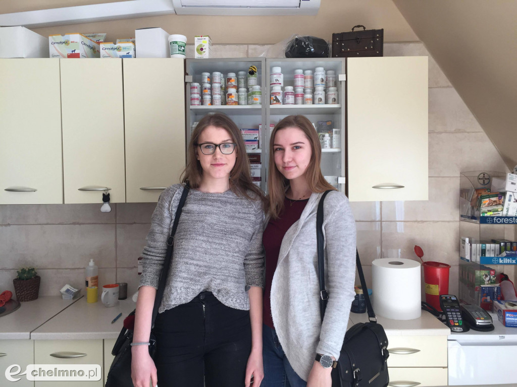 Dzień Przedsiębiorczości w Zespole Szkół CKP w Grubnie