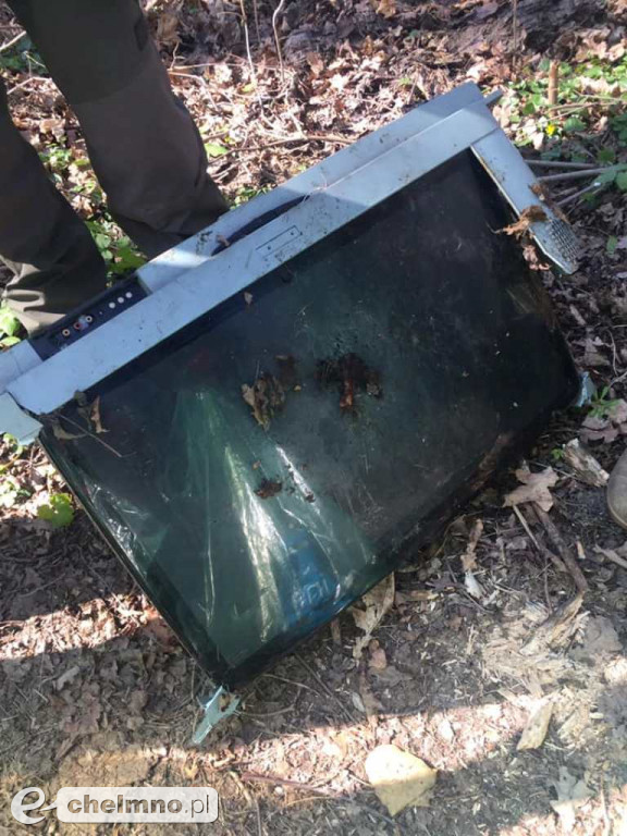 Wiosenne sprzątanie Parku nad Wisłą