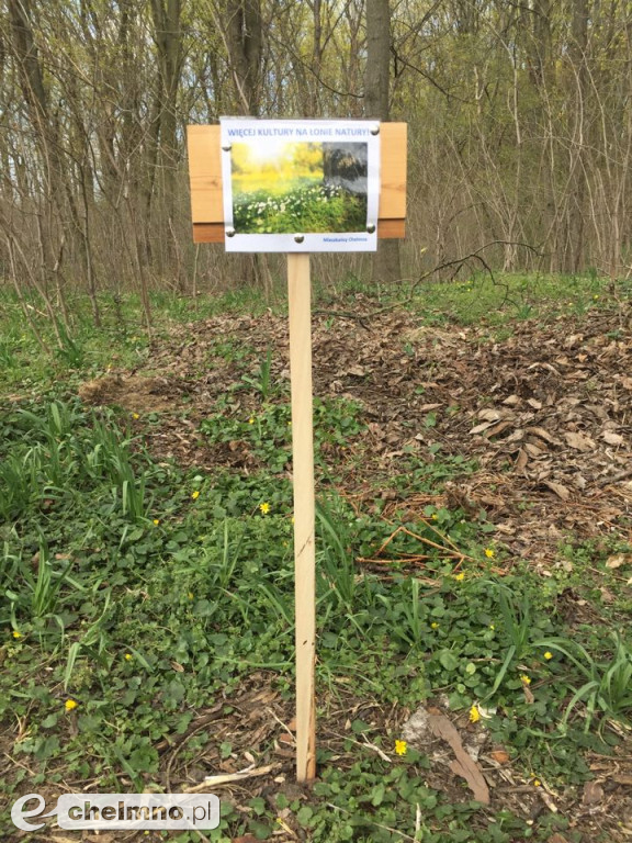 Wiosenne sprzątanie Parku nad Wisłą