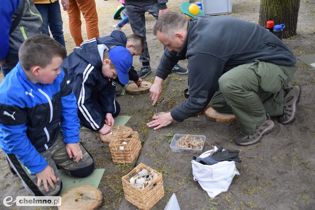 Zabawy w Dniu Flagi: impreza na plantach chełmińskich