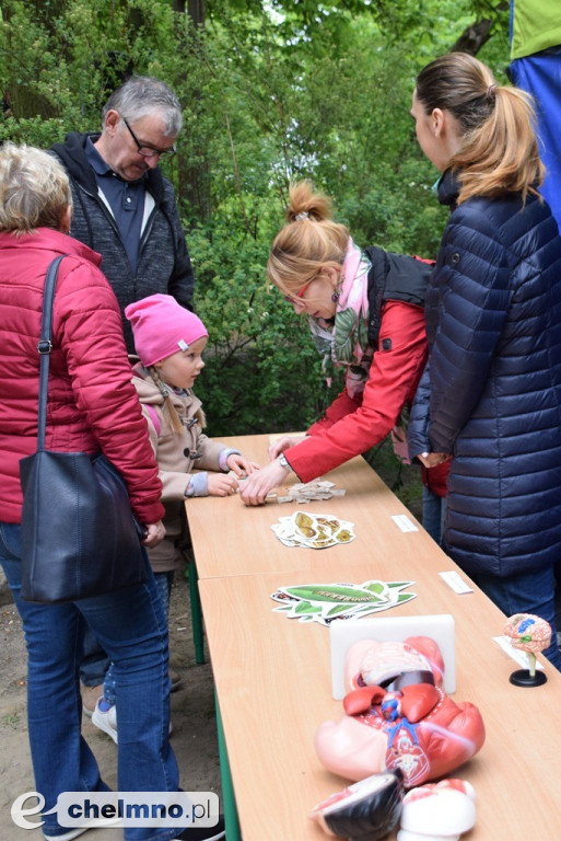 Zabawy w Dniu Flagi: impreza na plantach chełmińskich