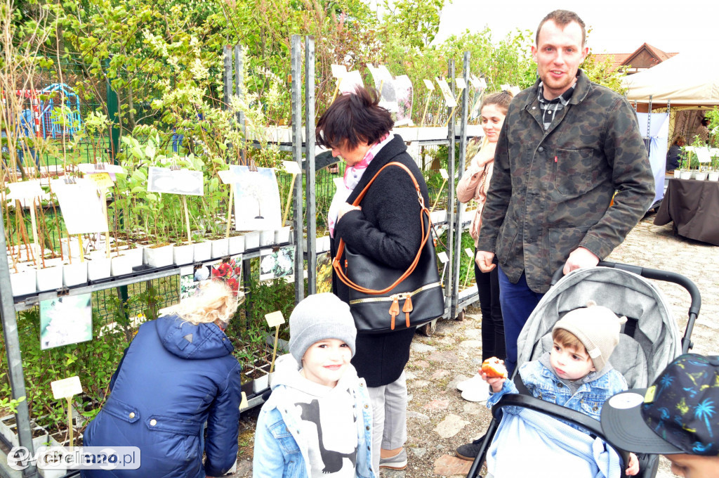 Widzieliście wystawę amerykańskich aut w Polednie?