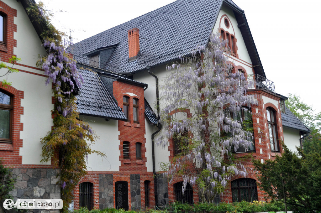Widzieliście wystawę amerykańskich aut w Polednie?