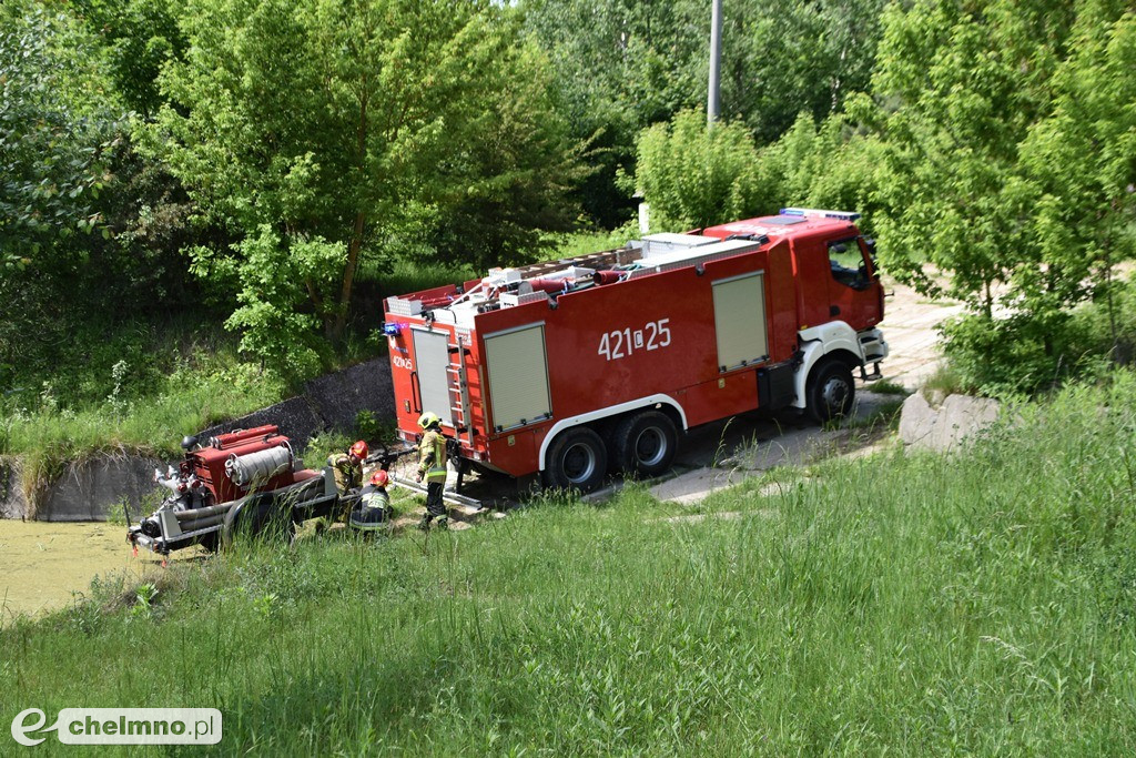 Ćwiczenia doskonalące Las 2019 w Chełmnie