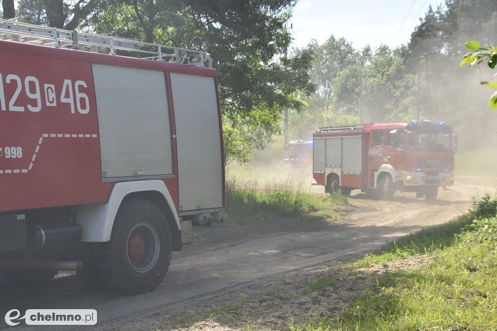 Ćwiczenia doskonalące Las 2019 w Chełmnie