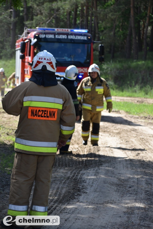 Ćwiczenia doskonalące Las 2019 w Chełmnie