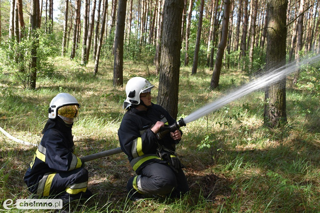 Ćwiczenia doskonalące Las 2019 w Chełmnie