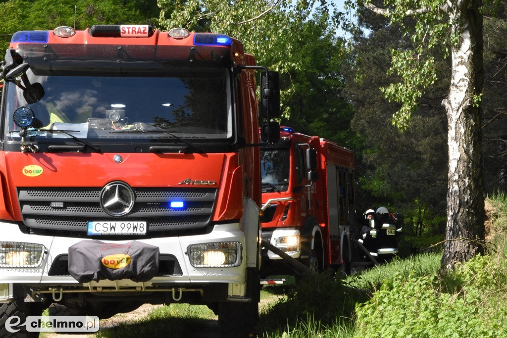 Ćwiczenia doskonalące Las 2019 w Chełmnie