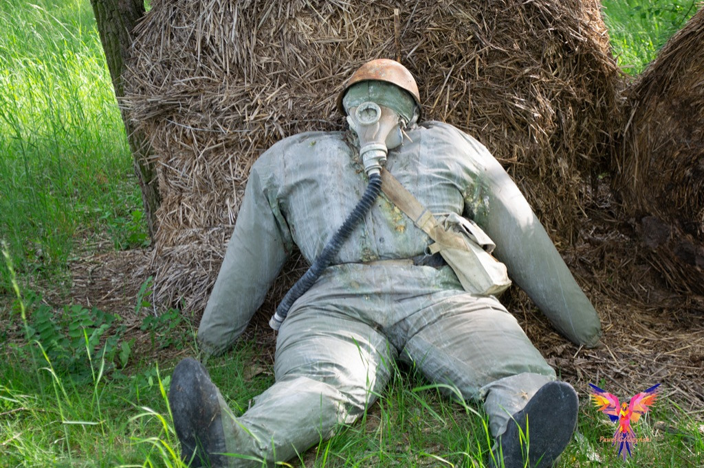 Czołgowisko i VII Zlot Militarny