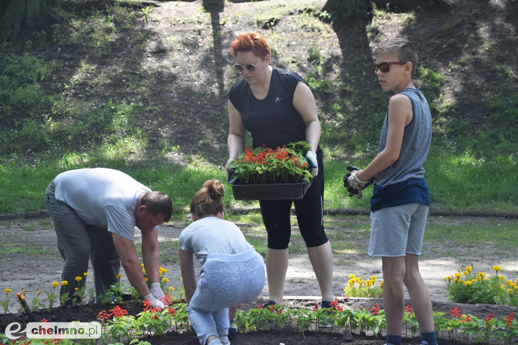 To dzięki nim Stare Planty wypiękniały...