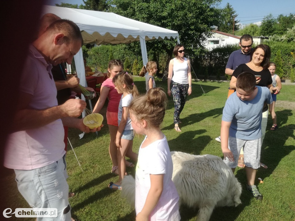 Konkursy z rodzicami i lekcja o kotach brytyjskich