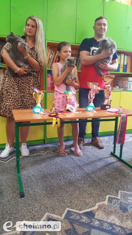 Konkursy z rodzicami i lekcja o kotach brytyjskich