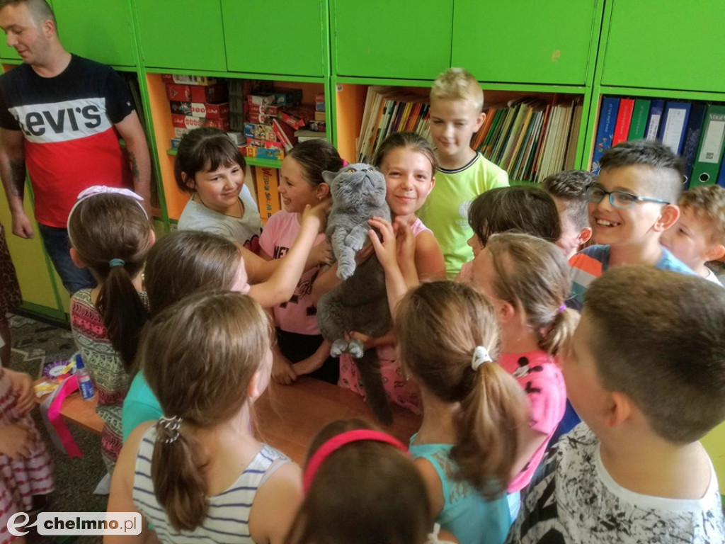 Konkursy z rodzicami i lekcja o kotach brytyjskich