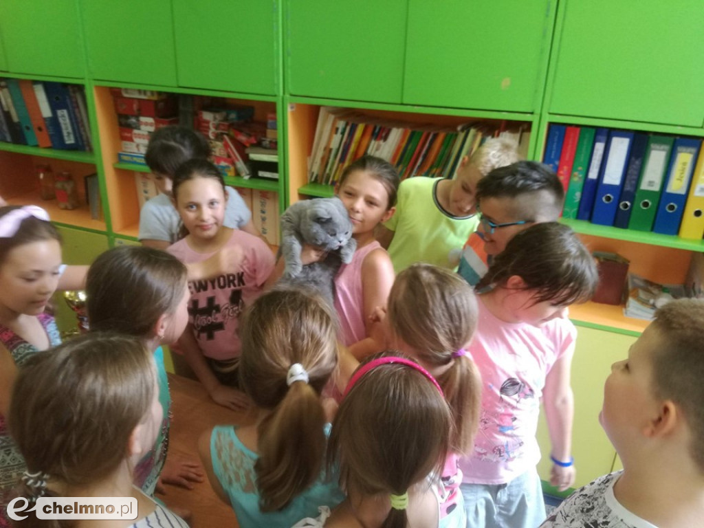 Konkursy z rodzicami i lekcja o kotach brytyjskich