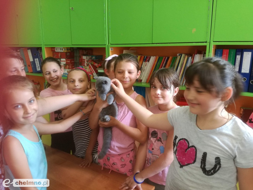 Konkursy z rodzicami i lekcja o kotach brytyjskich